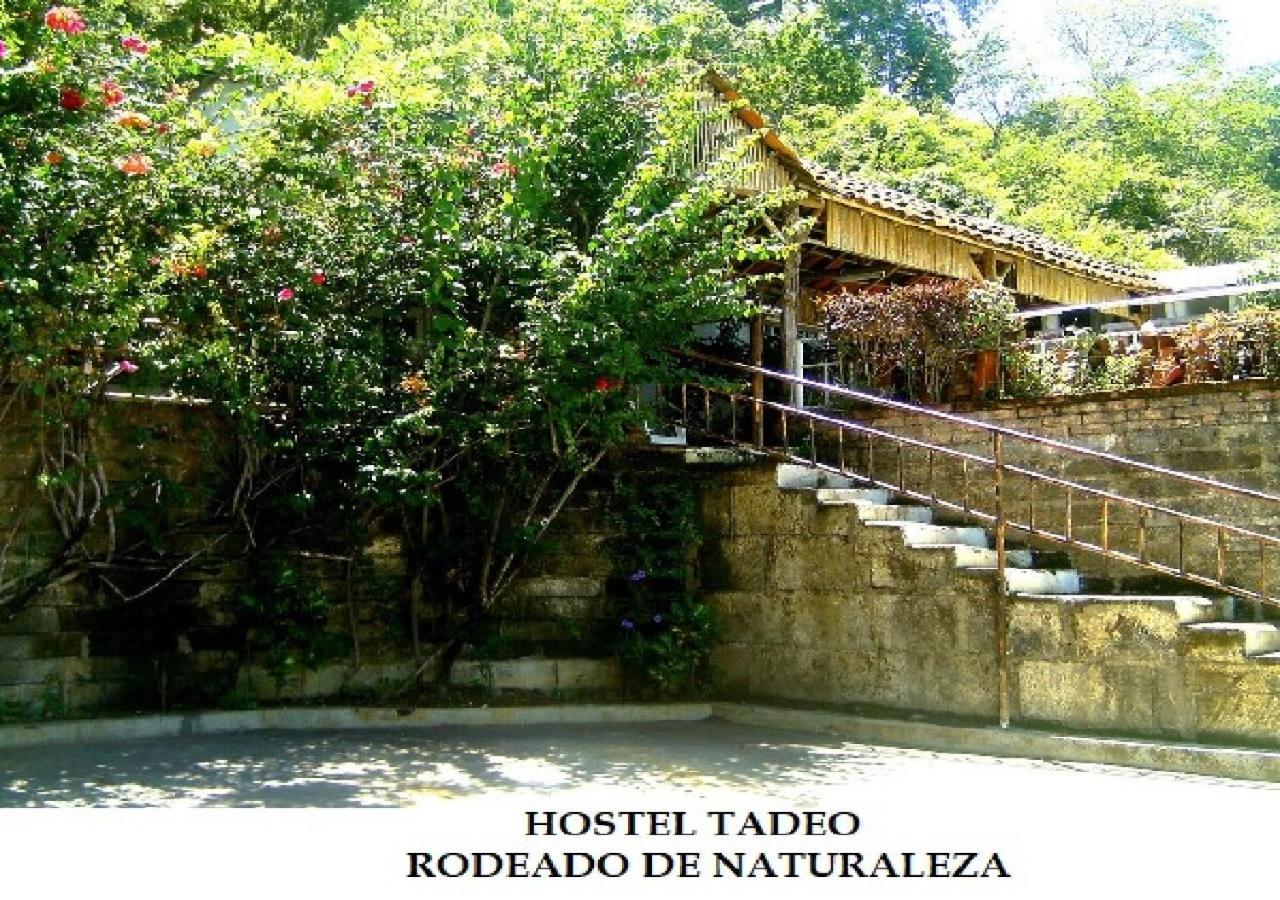 Hostel Tadeo Сан Хуан дел Сур Екстериор снимка